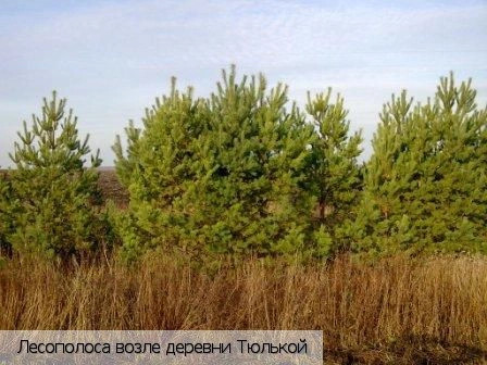 Тюлькой деревня