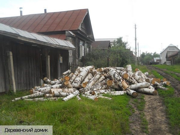 Канашский район