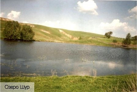 Козловский район