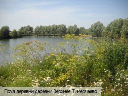 Верхнее Тимерчеево