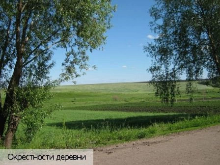 Кайнлык