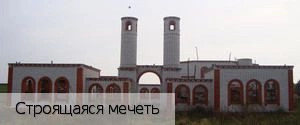 Кайнлык