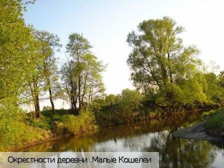 Малые Кошелеи
