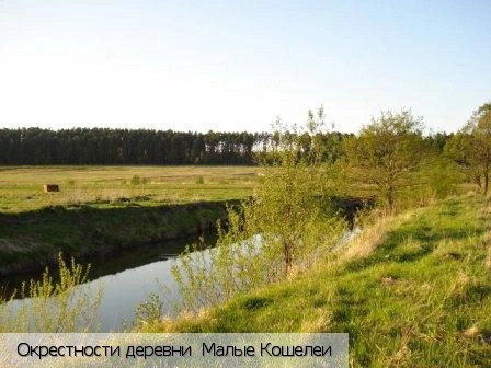 Малые Кошелеи