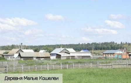 Малые Кошелеи