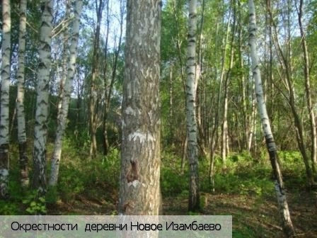 Новое Изамбаево деревня