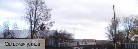 Новочелны-Сюрбеево село