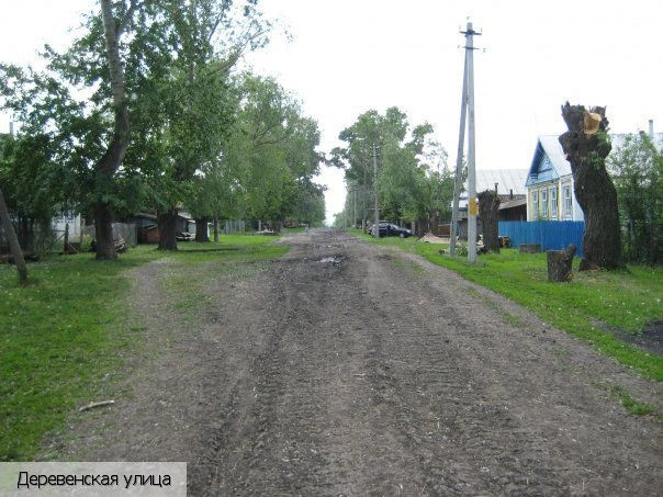 Полевые Яуши