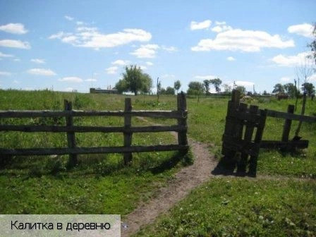 Полевые Яуши