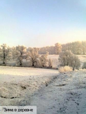 Старые Высли