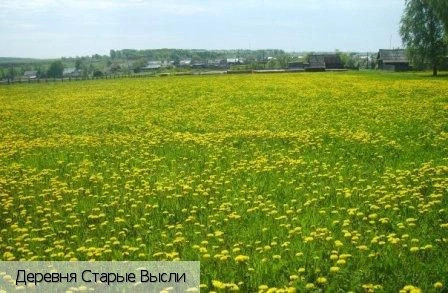 Старые Высли