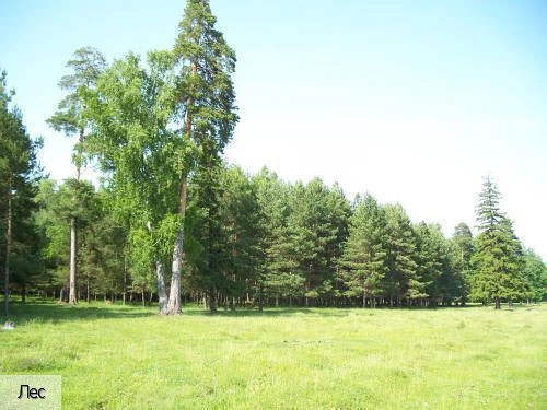 Старые Высли