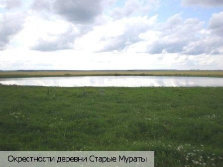 Старые Мураты