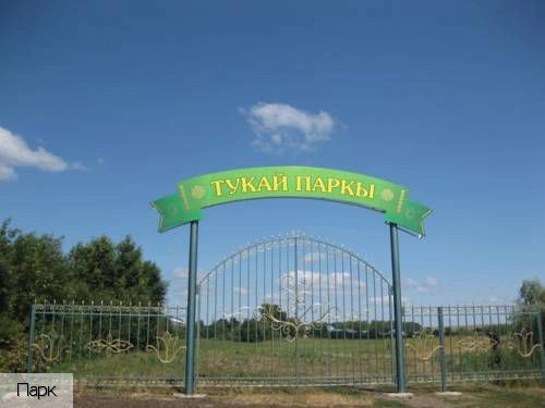 Токаево село