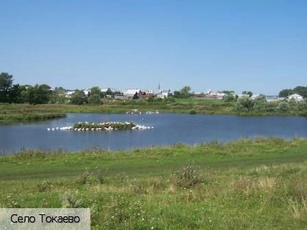 Токаево село