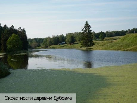 Дубовка деревня (Комсомольский р-н)