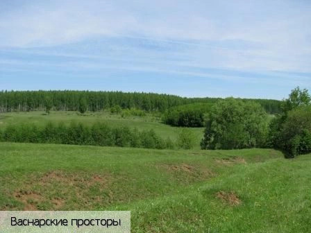 Васнары деревня