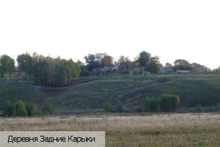 Задние Карыки деревня