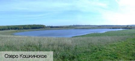 Красноармейский район (Чувашия)