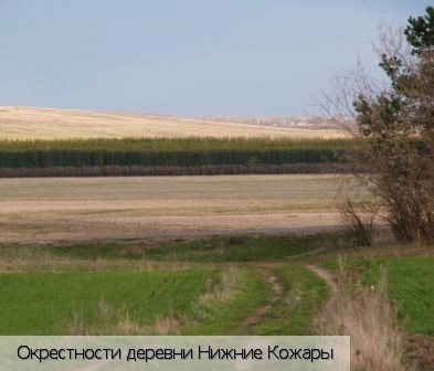 Нижние Кожары