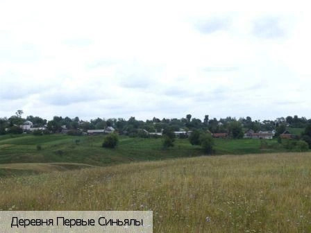 Первые Синьялы деревня