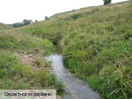 Первые Синьялы деревня