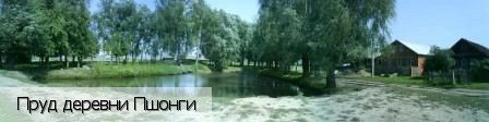 Пшонги деревня