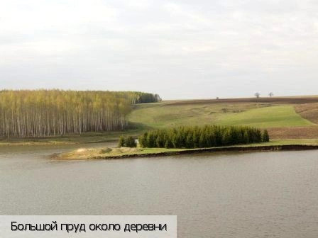 Пшонги деревня