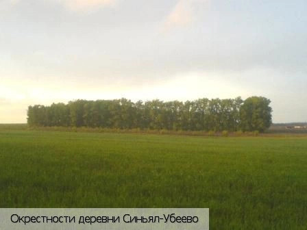 Синьял-Убеево деревня