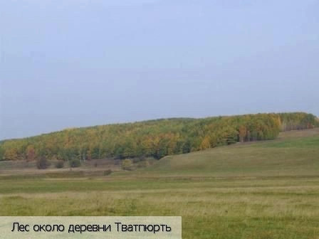 Тватпюрть деревня