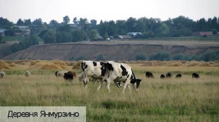 Янмурзино деревня