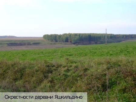 Яшкильдино (Красноармейский район)
