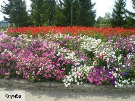 Атнары село