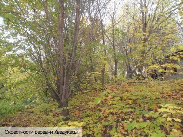Хвадукасы деревня