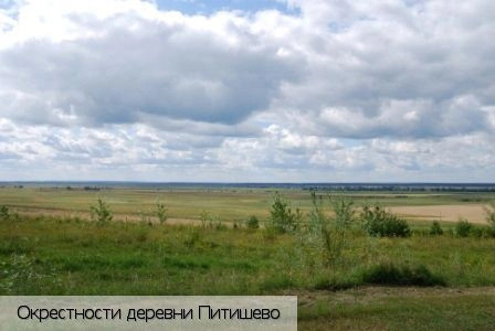 Питишево (Красночетайский район)