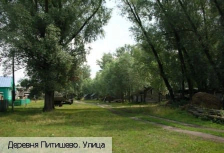 Питишево (Красночетайский район)
