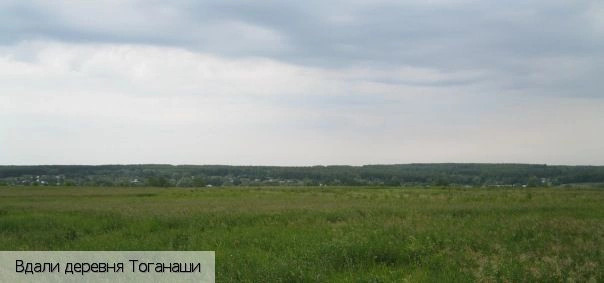 Тоганаши деревня (Красночетайский р-н)