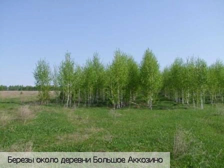 Большое Аккозино