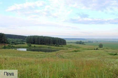 Большое Камаево
