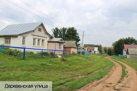 Большое Камаево