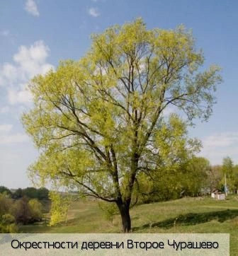 Второе Чурашево деревня