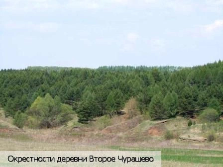 Второе Чурашево деревня