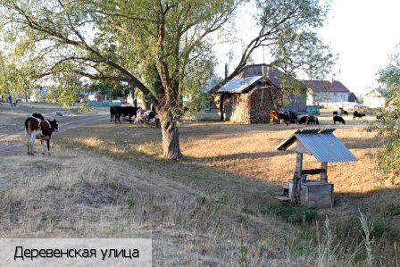 Ирх-Сирмы-Кошки деревня