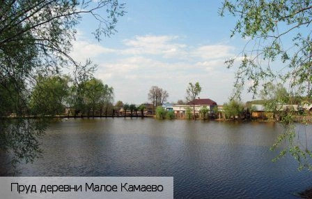 Малое Камаево