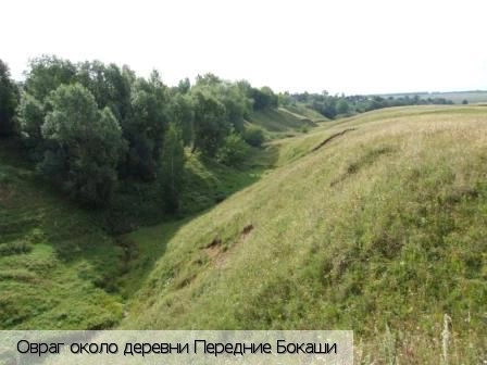 Передние Бокаши