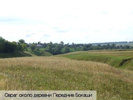 Передние Бокаши