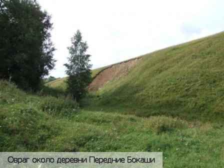 Передние Бокаши
