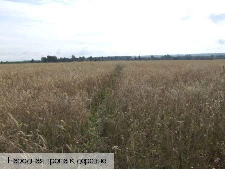 Передние Бокаши