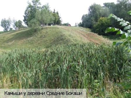 Средние Бокаши деревня