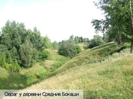 Средние Бокаши деревня